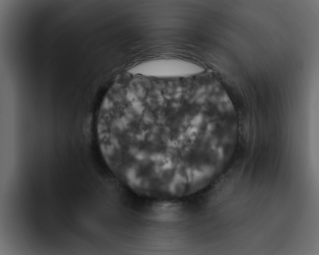 X0000092010319200710041030