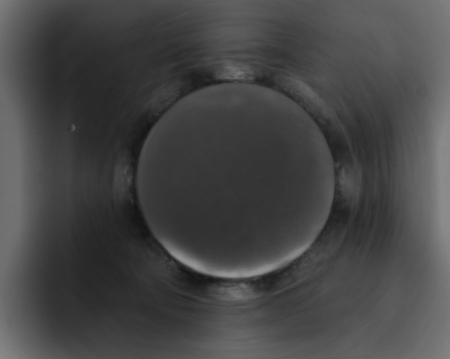 X0000092010322200710041030