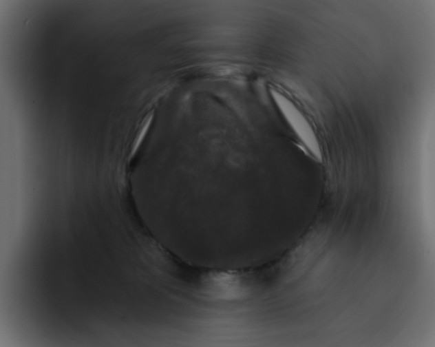 X0000092010325200710041030