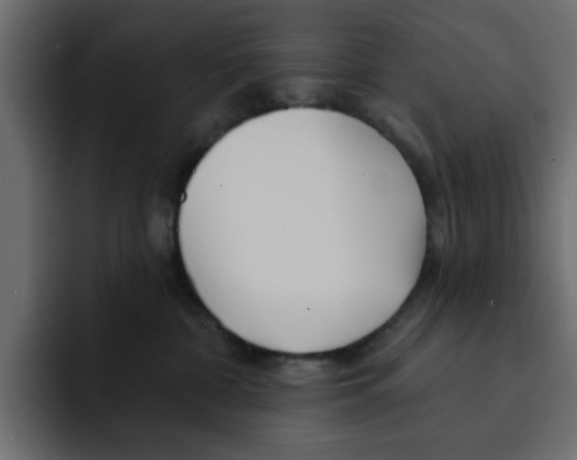 X0000092010332200710041030