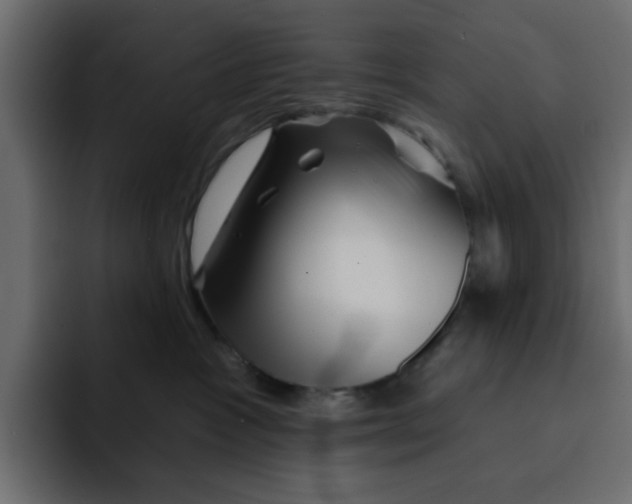 X0000092010333200710041030