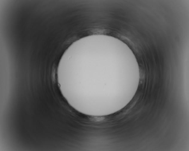 X0000092010334200710041030
