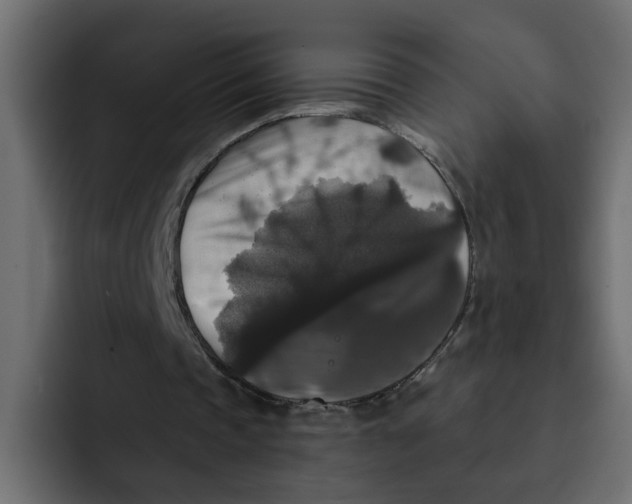 X0000092010337200710041029