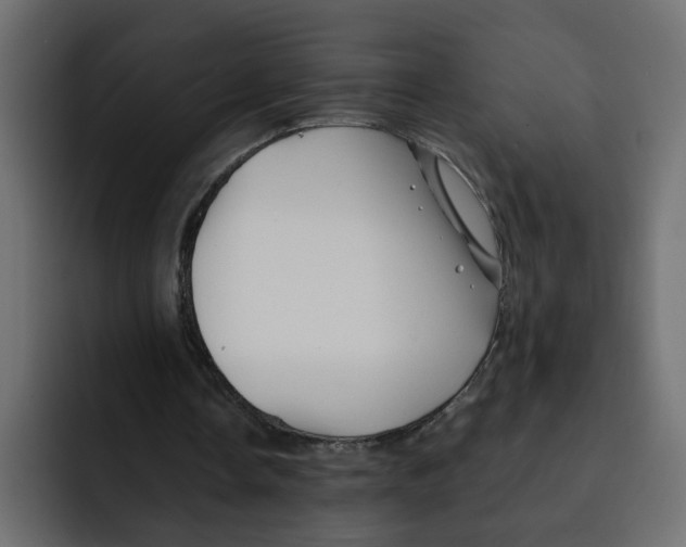 X0000092010338200710041029