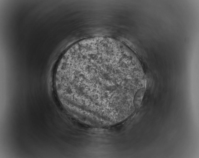 X0000092010339200710041029