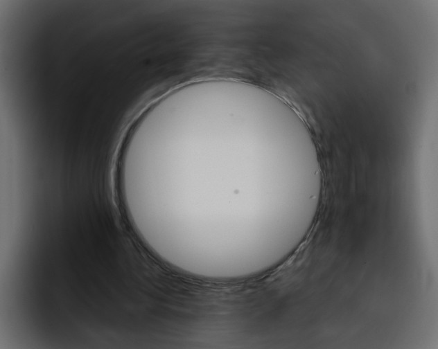 X0000092010340200710041029