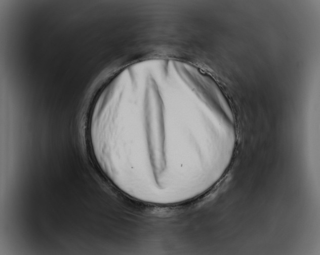 X0000092010341200710041029