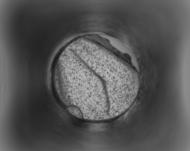 X0000092010342200710041029