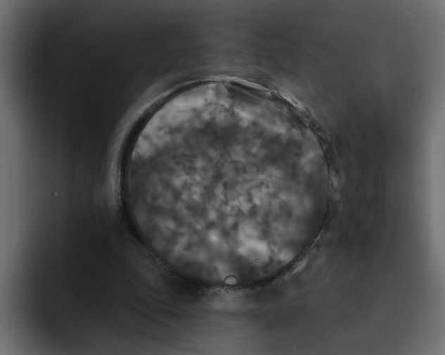 X0000092010343200710041029