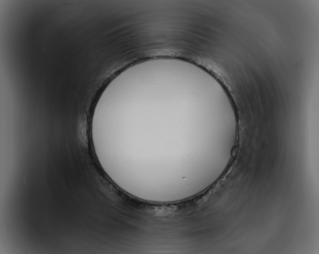 X0000092010345200710041029