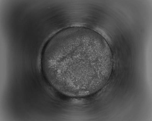 X0000092010346200710041029