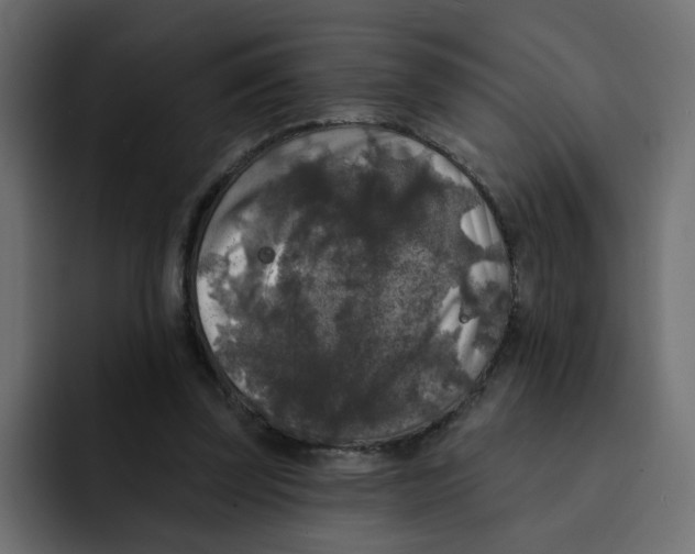 X0000092010347200710041029