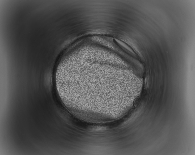 X0000092010348200710041029