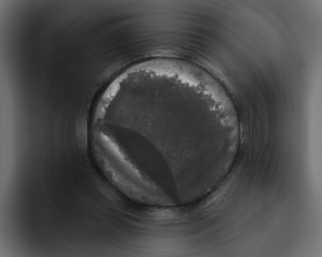 X0000092010349200710041029
