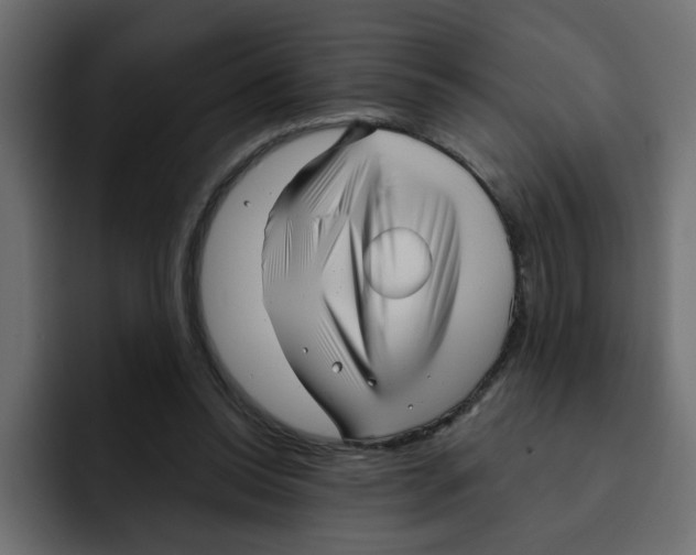 X0000092010350200710041029