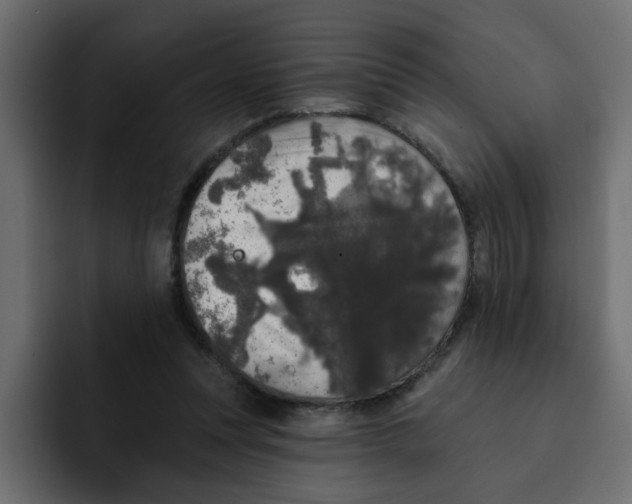 X0000092010351200710041030