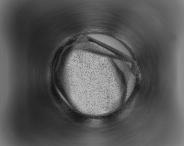 X0000092010352200710041030