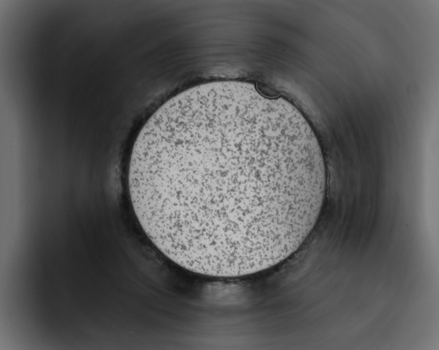 X0000092010354200710041030