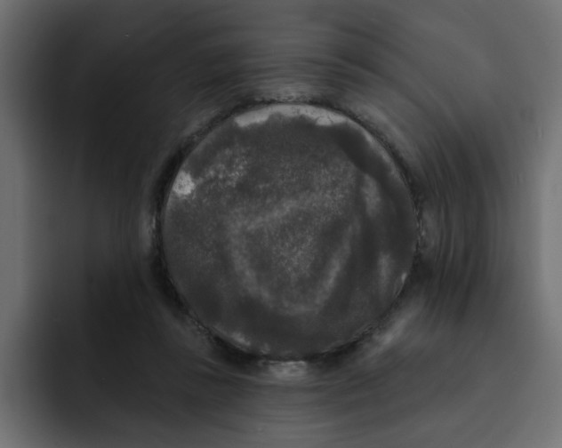 X0000092010355200710041030