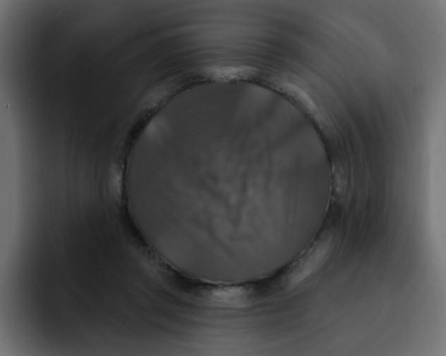 X0000092010357200710041030