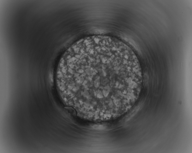 X0000092010358200710041030