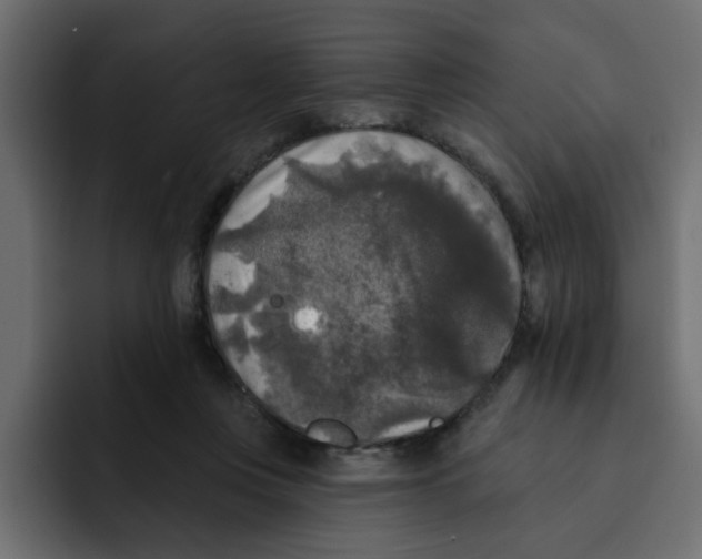X0000092010359200710041030
