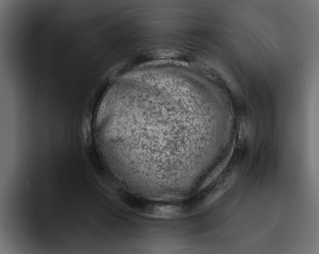 X0000092010360200710041030