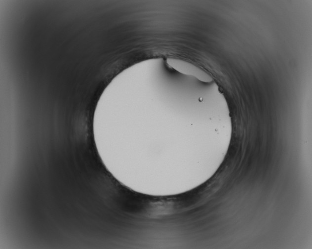 X0000092010362200710041030