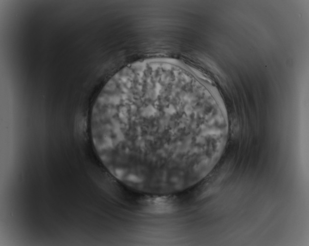 X0000092010365200710041030