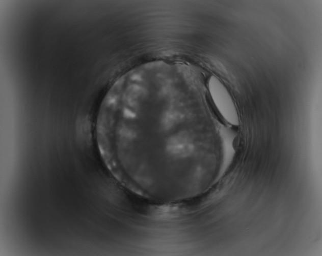 X0000092010366200710041030