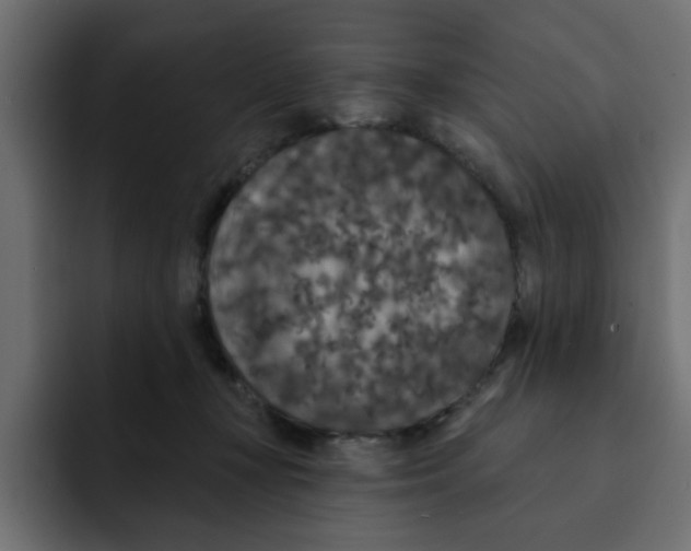 X0000092010367200710041030