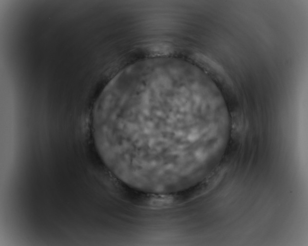X0000092010369200710041030