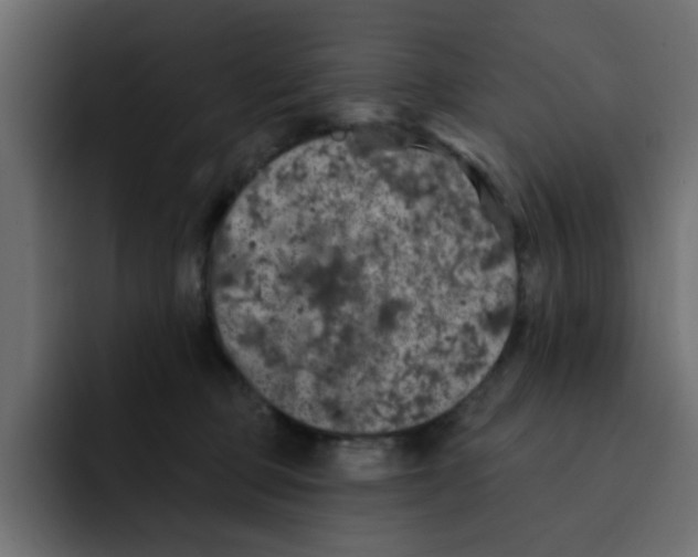 X0000092010373200710041030