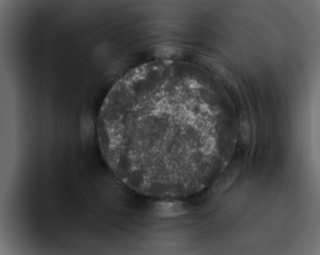 X0000092010375200710041030