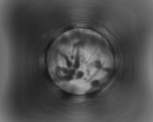 X0000092010377200710041030