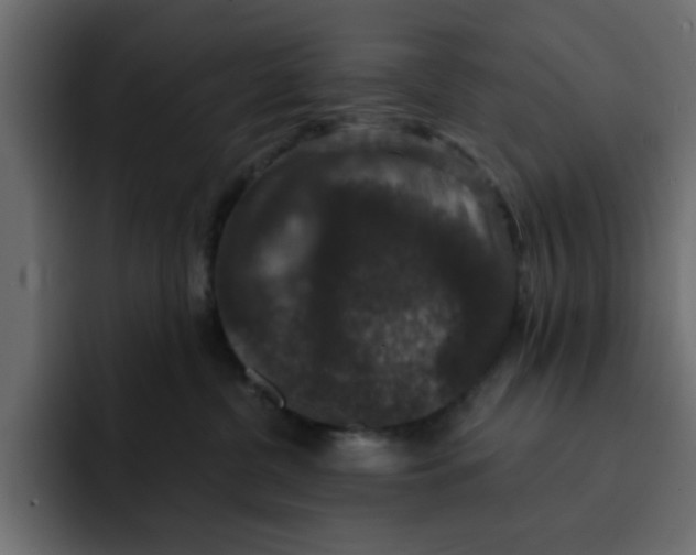 X0000092010380200710041030