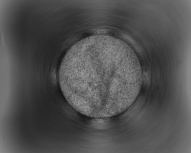X0000092010381200710041030