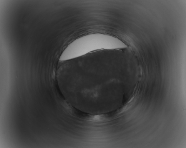 X0000092010382200710041030
