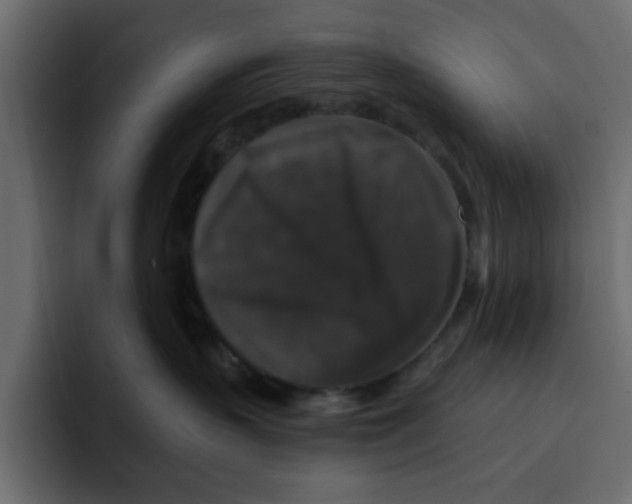 X0000092010383200710041030