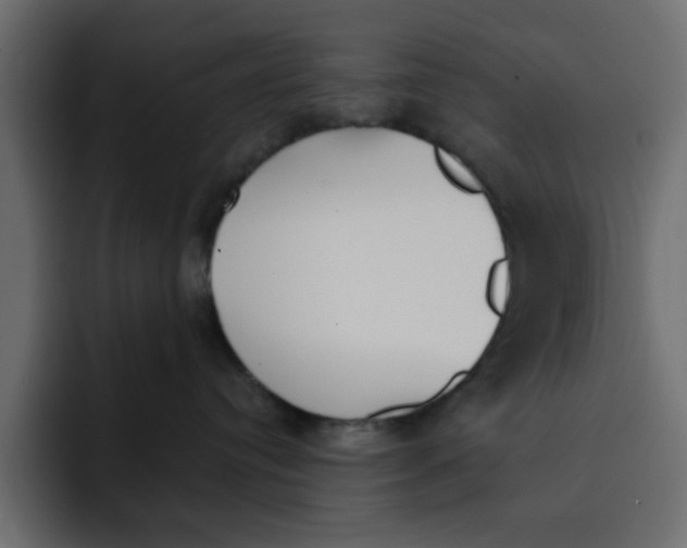 X0000092010384200710041030