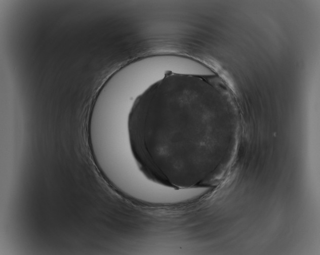 X0000092010385200710041029
