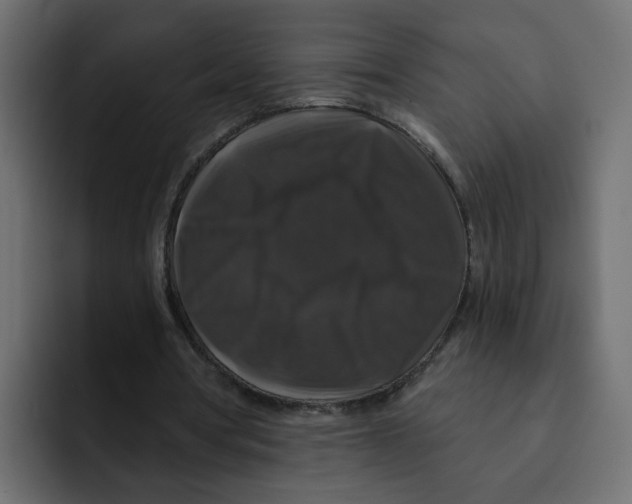 X0000092010386200710041029