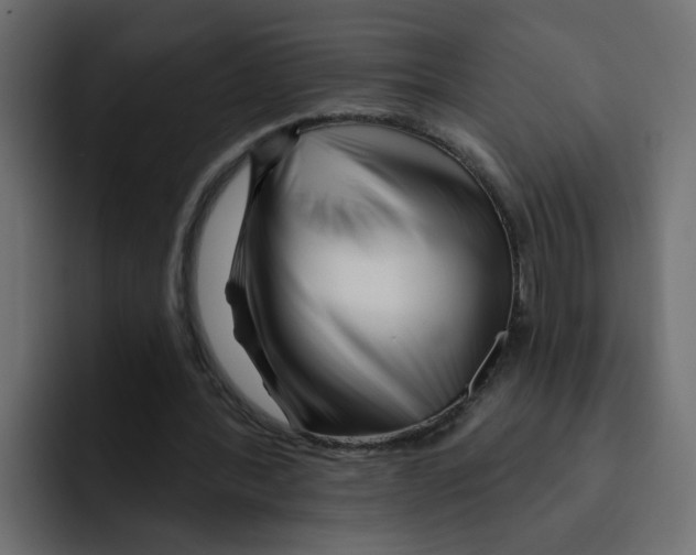 X0000092010388200710041029