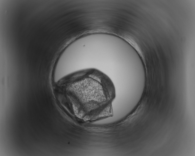 X0000092010389200710041029