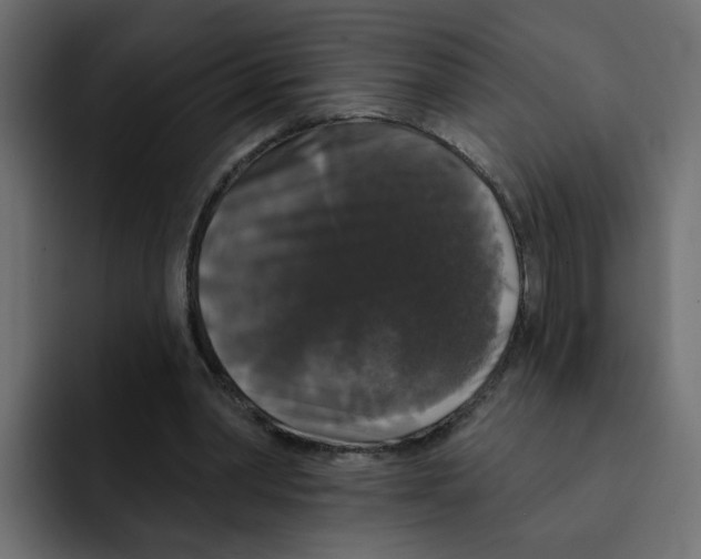 X0000092010390200710041029
