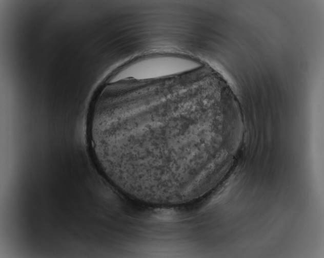 X0000092010391200710041029