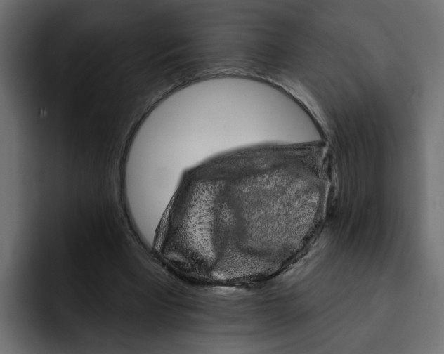 X0000092010393200710041029