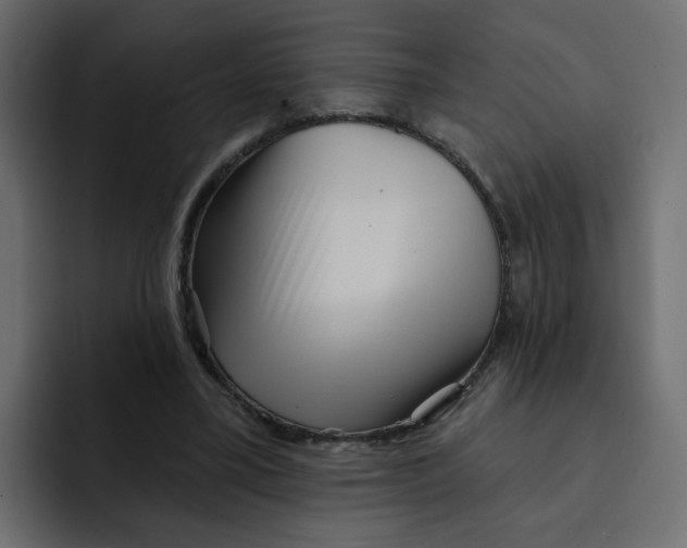 X0000092010395200710041029