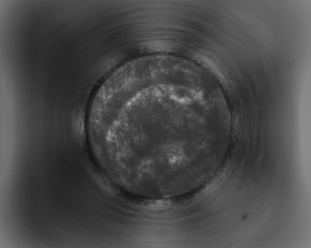 X0000092010398200710041029