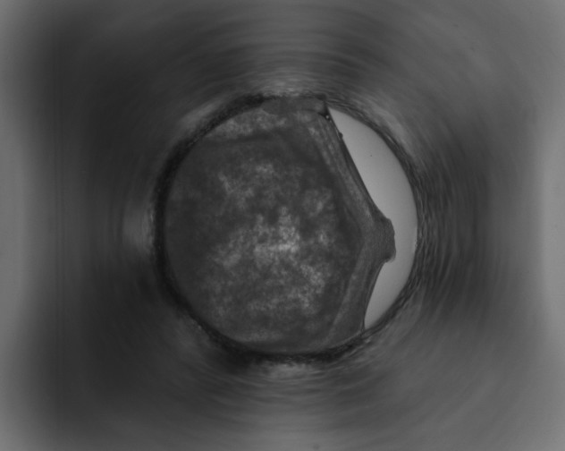 X0000092010400200710041029